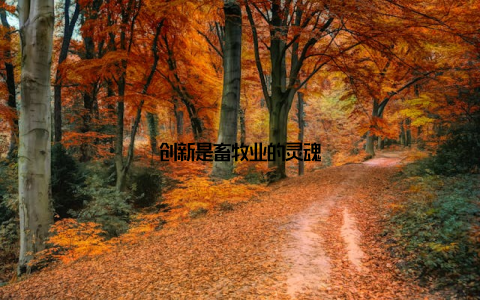 创新是畜牧业的灵魂