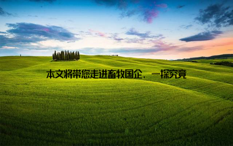 本文将带您走进畜牧国企, 一探究竟