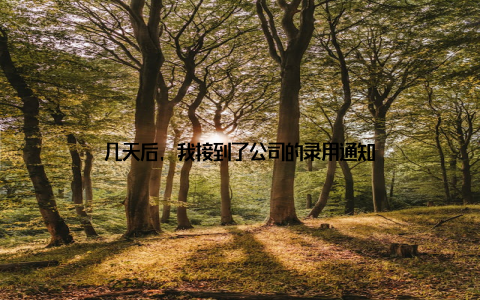 几天后, 我接到了公司的录用通知