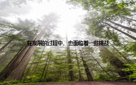 在发展的过程中, 也面临着一些挑战