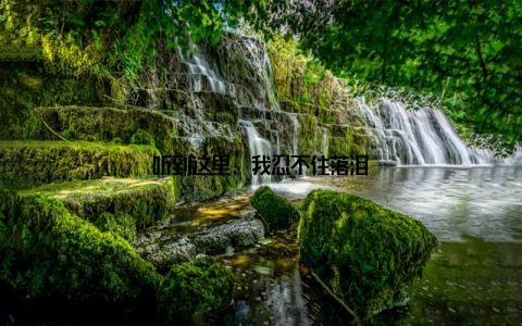 听到这里, 我忍不住落泪