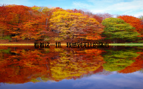 看着这一切, 我感到无比的痛心