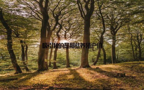 吸引我的是那些养殖户们