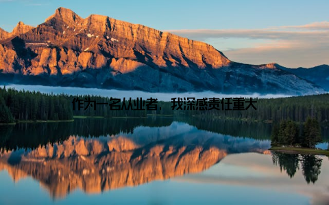 作为一名从业者, 我深感责任重大