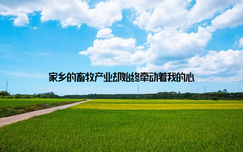 家乡的畜牧产业却始终牵动着我的心