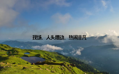 现场, 人头攒动, 热闹非凡