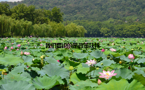 我们要说的是政策扶持