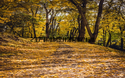 2生产标准制定并落实生产标准