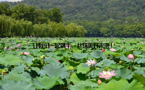 让我们一起携手, 共筑美好未来!