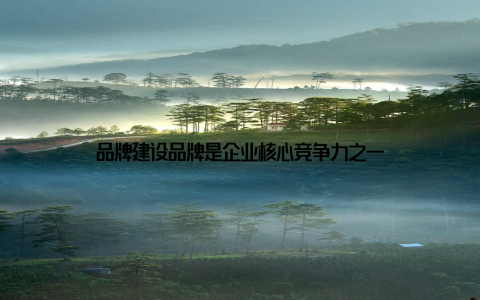 品牌建设品牌是企业核心竞争力之一