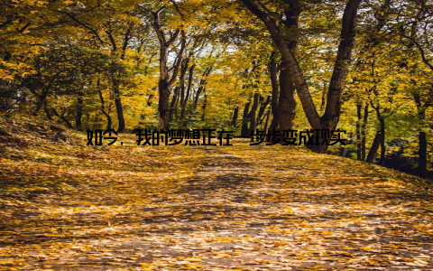 如今, 我的梦想正在一步步变成现实