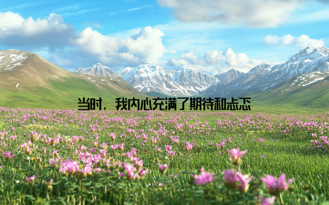 当时, 我内心充满了期待和忐忑