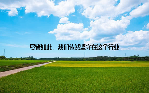 尽管如此, 我们依然坚守在这个行业