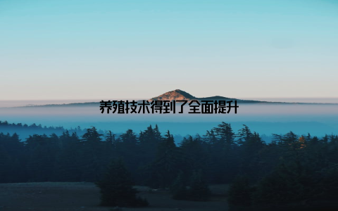 养殖技术得到了全面提升