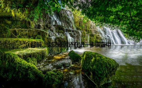 目前, 火灾原因还在进一步调查中