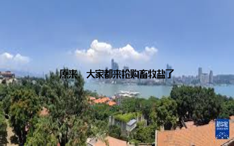 原来, 大家都来抢购畜牧盐了