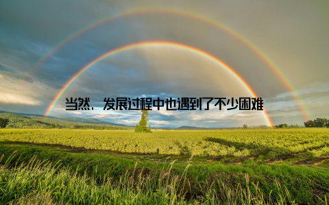 当然, 发展过程中也遇到了不少困难