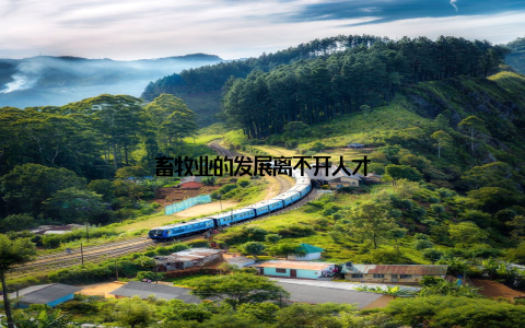 畜牧业的发展离不开人才