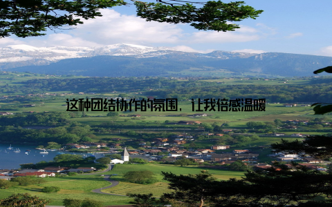 这种团结协作的氛围, 让我倍感温暖