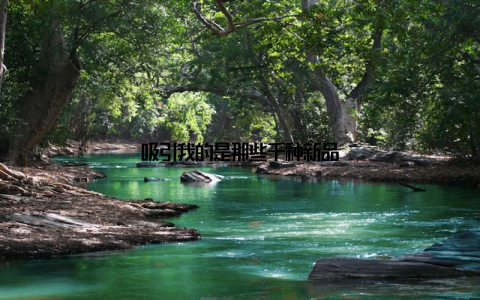 吸引我的是那些千种新品