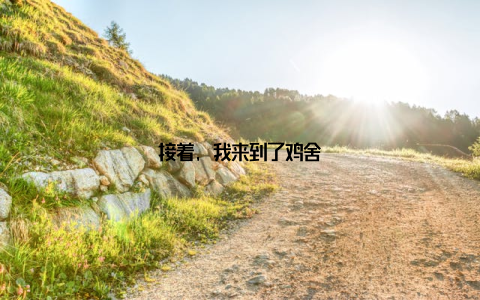 接着, 我来到了鸡舍