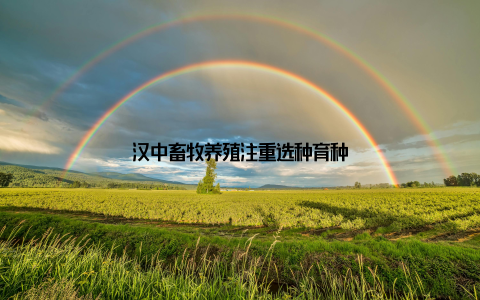 汉中畜牧养殖注重选种育种