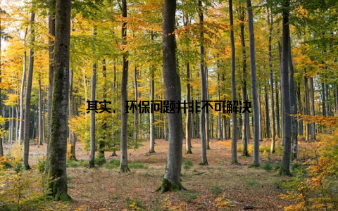 其实, 环保问题并非不可解决