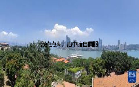 我点点头, 心中暗自佩服