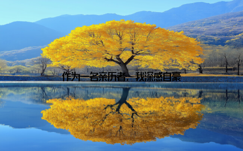 作为一名亲历者, 我深感自豪