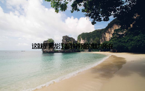 这就是黑龙江畜牧养殖的魅力所在