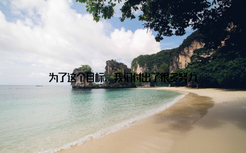 为了这个目标, 我们付出了很多努力