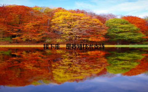 接下来, 是养殖技术支持