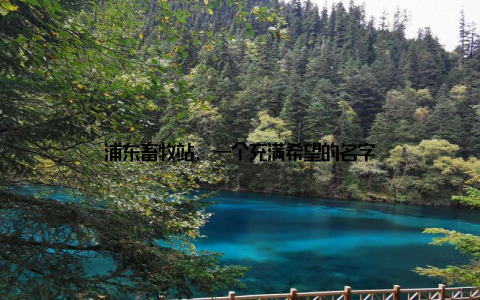 浦东畜牧站, 一个充满希望的名字