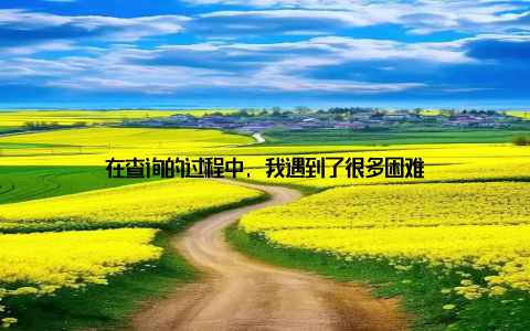 在查询的过程中, 我遇到了很多困难