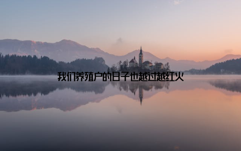 我们养殖户的日子也越过越红火