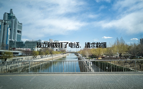 我立刻拨打了电话, 请求救援