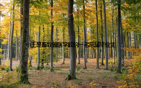 小王是畜牧曾医学校的一名应届毕业生