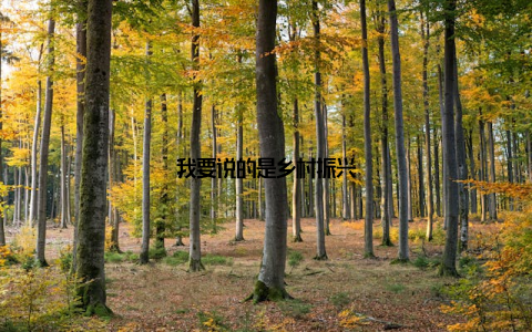 我要说的是乡村振兴