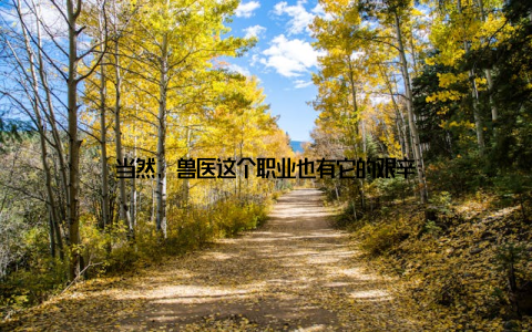 当然, 兽医这个职业也有它的艰辛