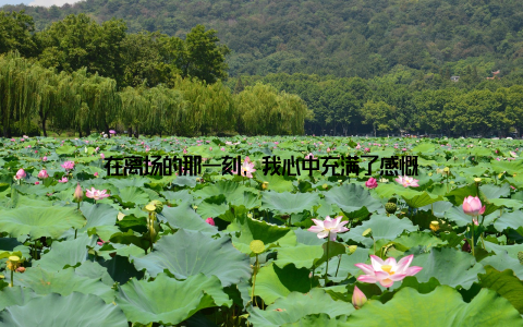 在离场的那一刻, 我心中充满了感慨