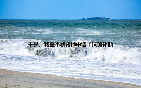 于是, 我毫不犹豫地申请了这项补助