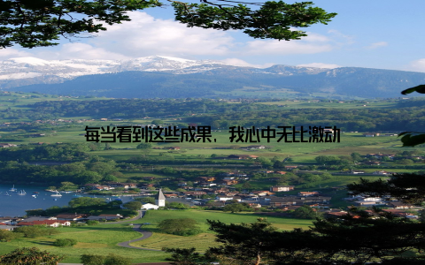 每当看到这些成果, 我心中无比激动