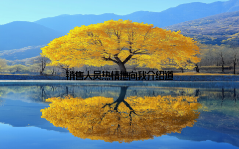 销售人员热情地向我介绍道