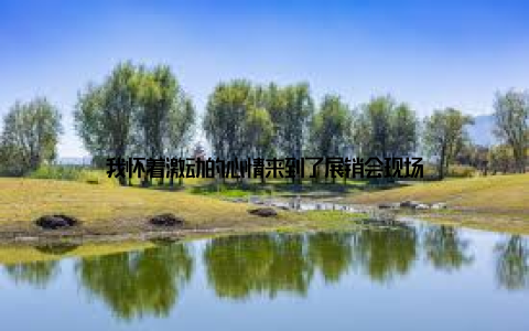 我怀着激动的心情来到了展销会现场