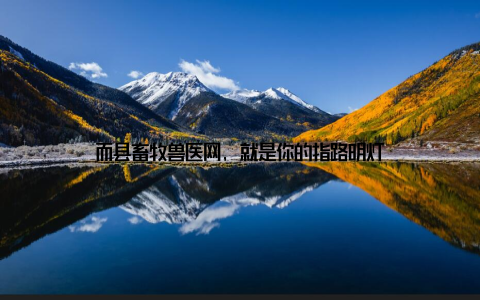 而县畜牧兽医网, 就是你的指路明灯