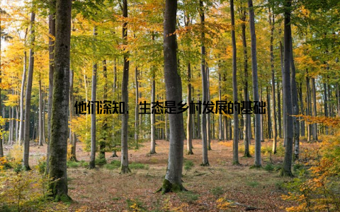 他们深知, 生态是乡村发展的基础