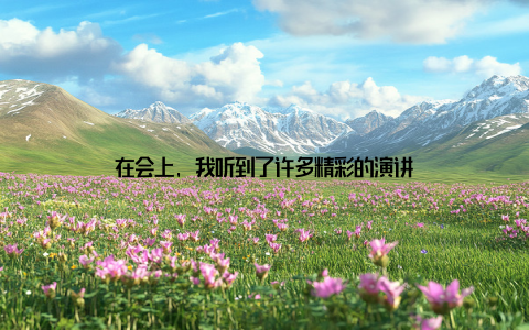 在会上, 我听到了许多精彩的演讲