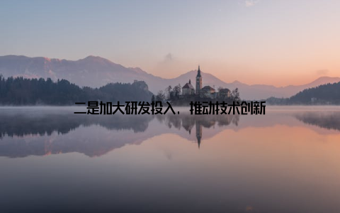 二是加大研发投入, 推动技术创新