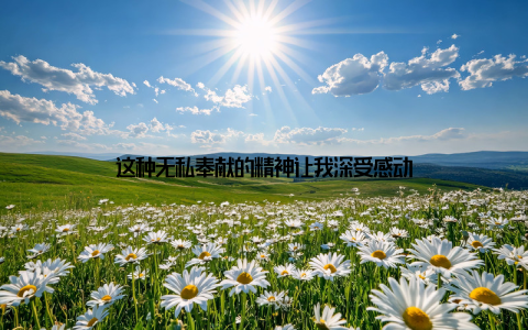 这种无私奉献的精神让我深受感动