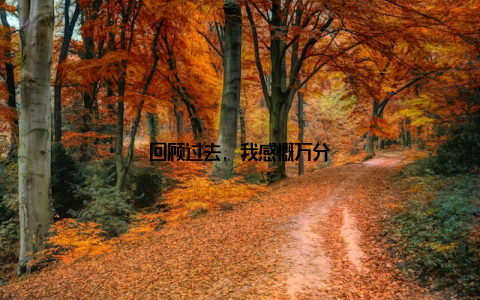 回顾过去, 我感慨万分